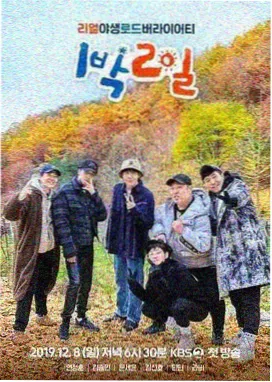 美食治愈作品封面：清晨的菜市场摊位